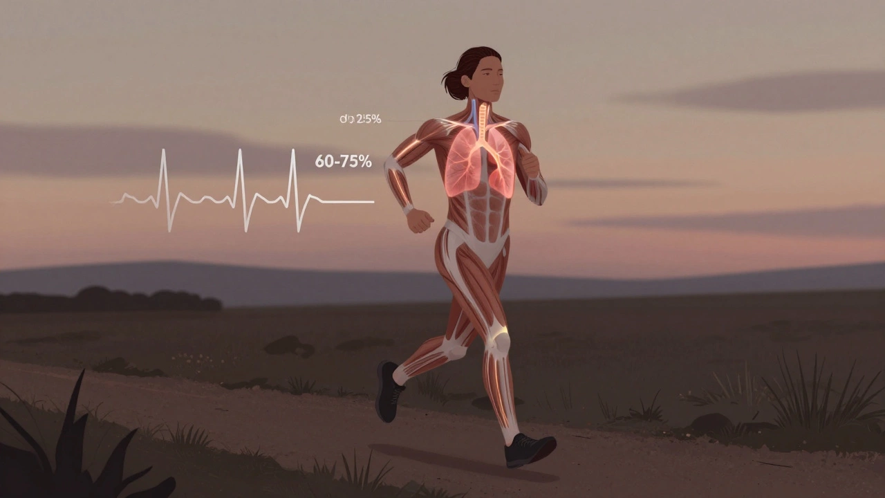 Художественное изображение бегуна с визуализацией потока кислорода и частоты пульса.